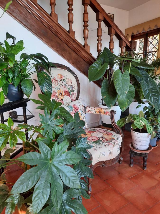 Soutariba Bed & Breakfast Roquebrune-Cap-Martin Exterior photo